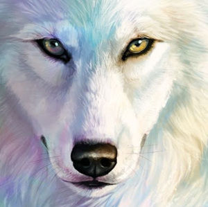 Meet your Posher, Roxanne